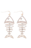 FISH BONE EARRING